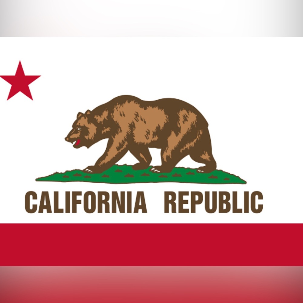 Meet your Posher, Bernard